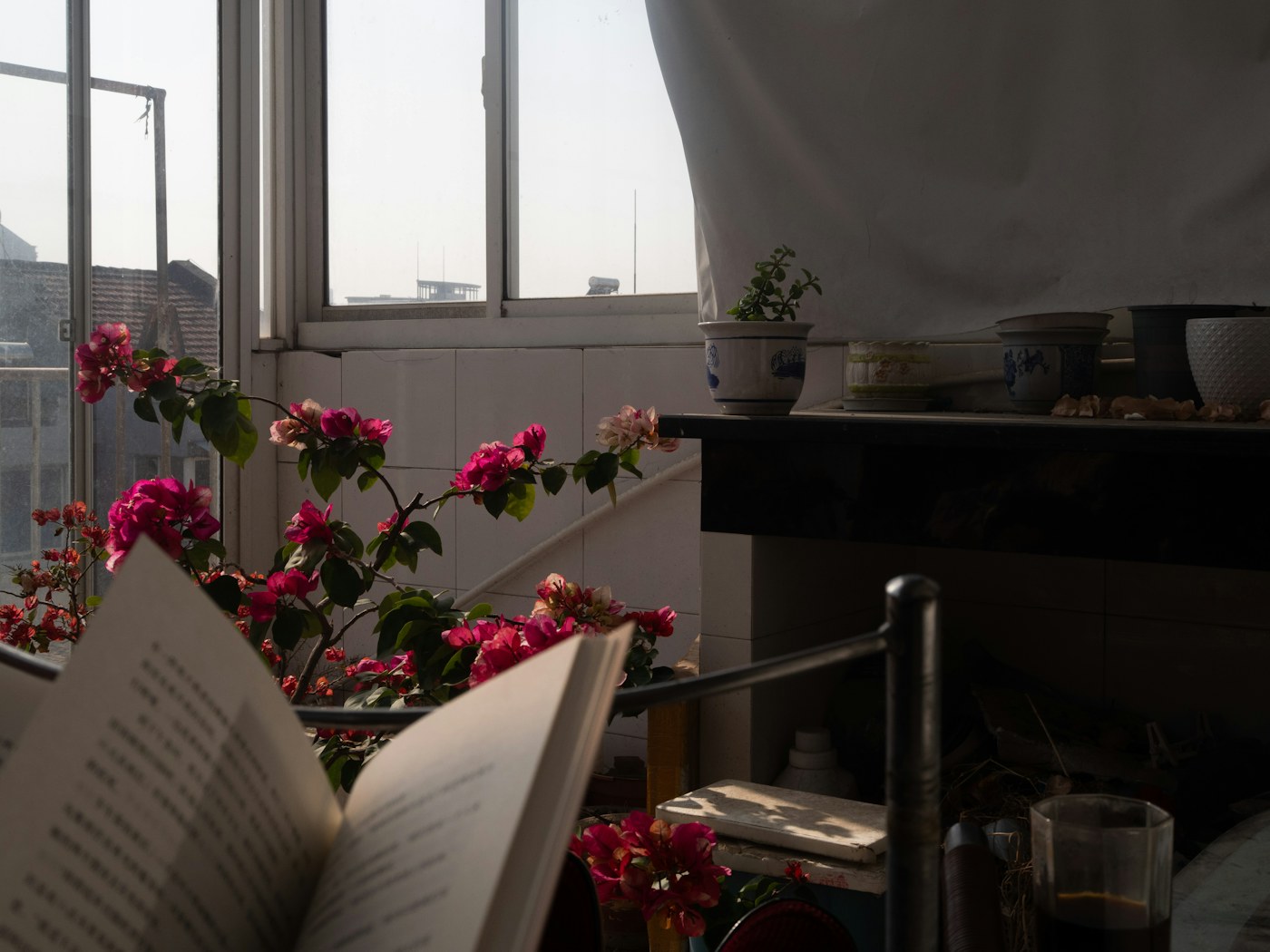 Livro aberto junto à janela e flores